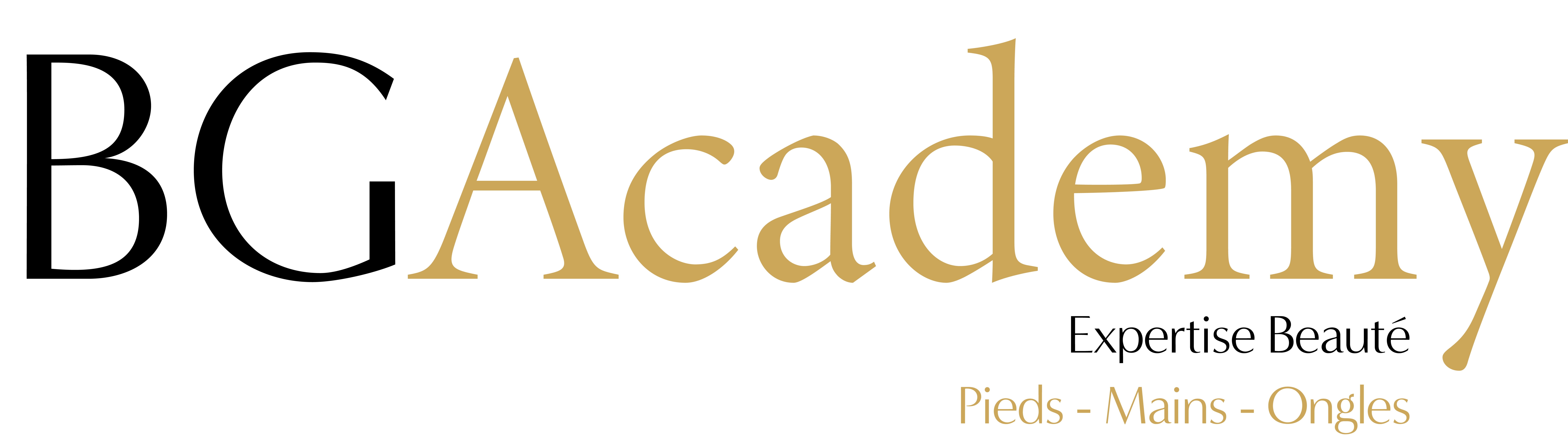 Logo de BGAcademy